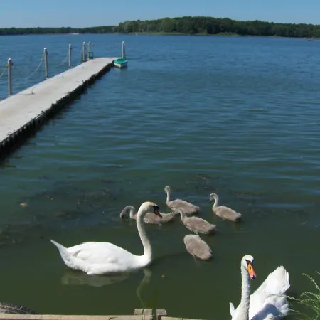 Villa Nad Jeziorem Rudno (Wolsztyn)