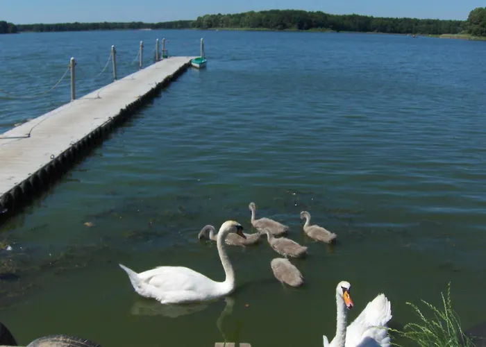 Вилла Nad Jeziorem Rudno (Wolsztyn)